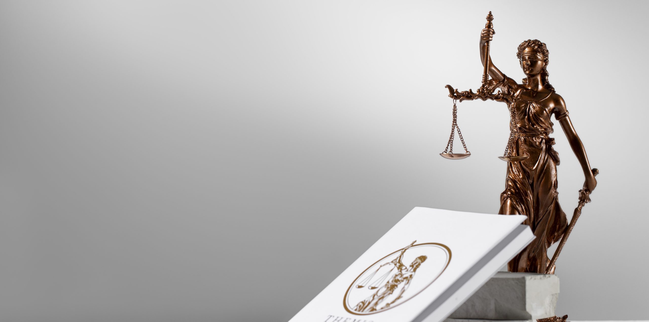 survivor bill of rights act