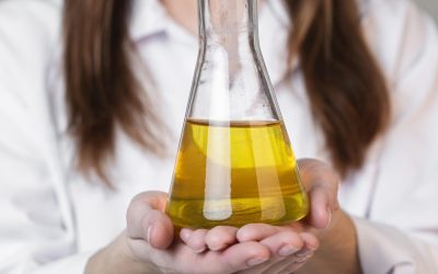 Understanding the Impact of Formaldehyde in the Body