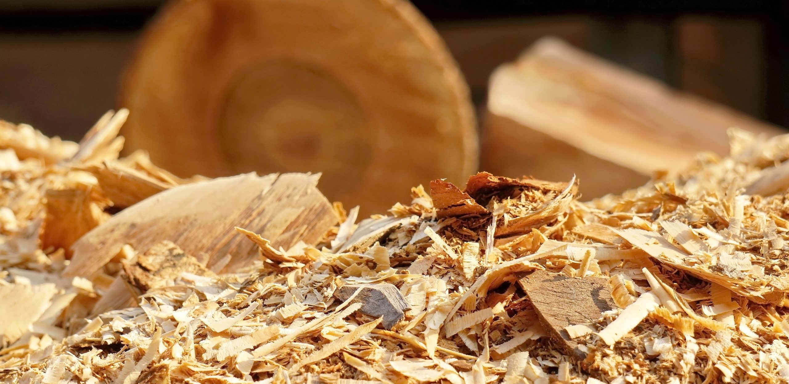 particleboard plant explosion