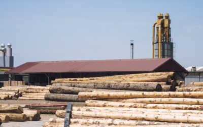 Horizon Biofuels Tragedy Highlights Dangers of  Industrial Dust Explosions