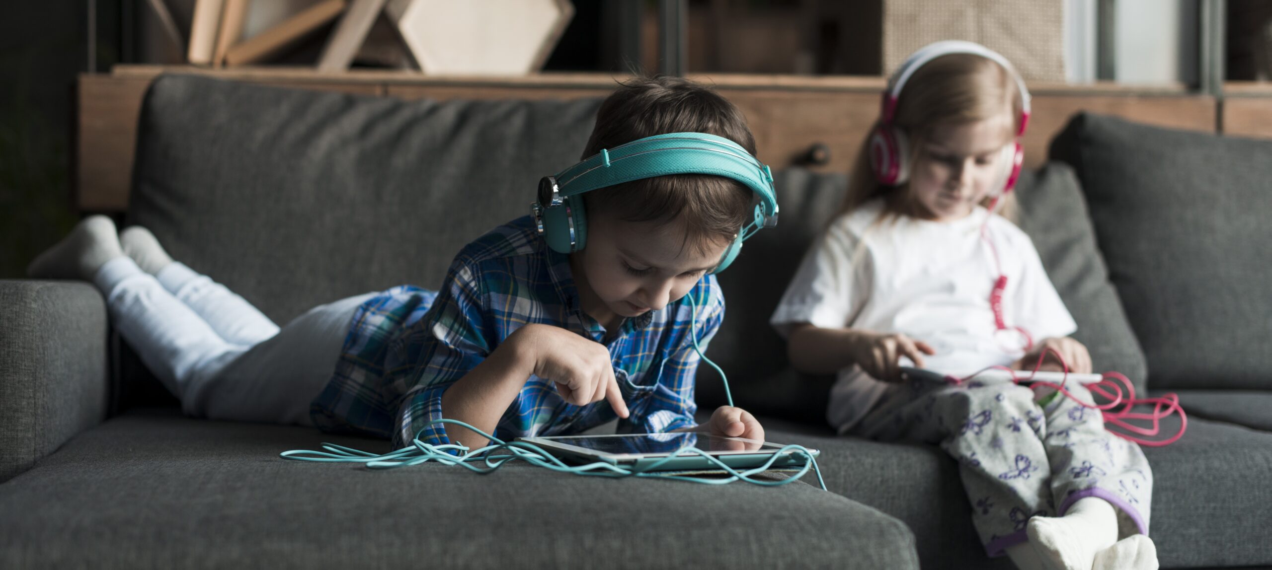 Roblox Litigation Lawyers